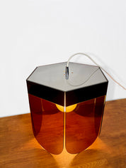 Suspension fleur plexiglas